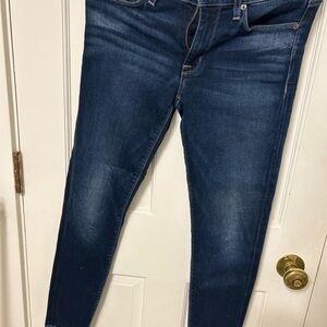 Hudson Jeans Dark Blue Skinny Women's Jeans